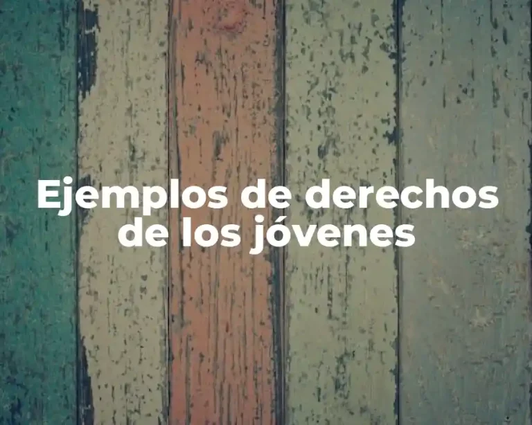 Ejemplos de derechos de los jóvenes