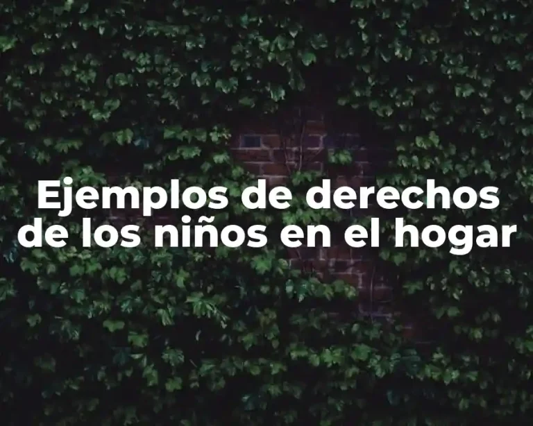 Ejemplos de derechos de los niños en el hogar