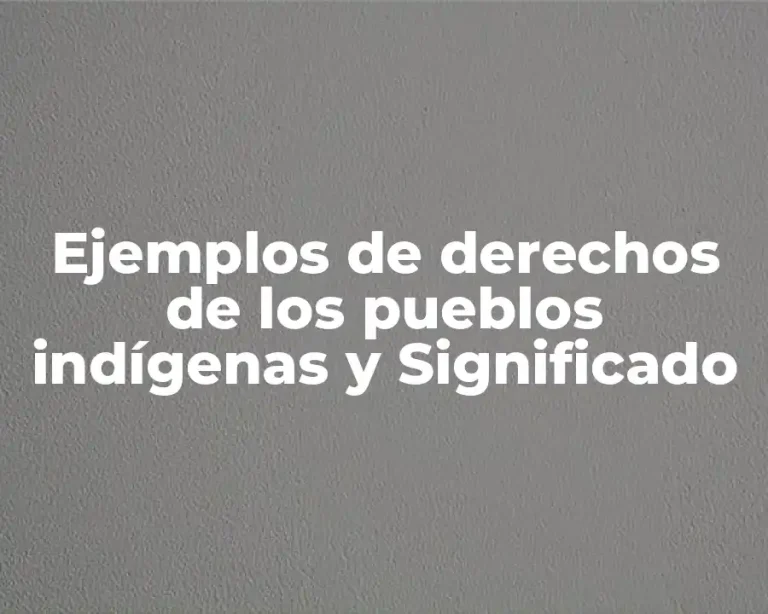 Ejemplos de derechos de los pueblos indígenas y Significado