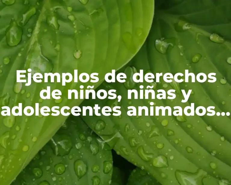 Ejemplos de derechos de niños, niñas y adolescentes animados y Significado