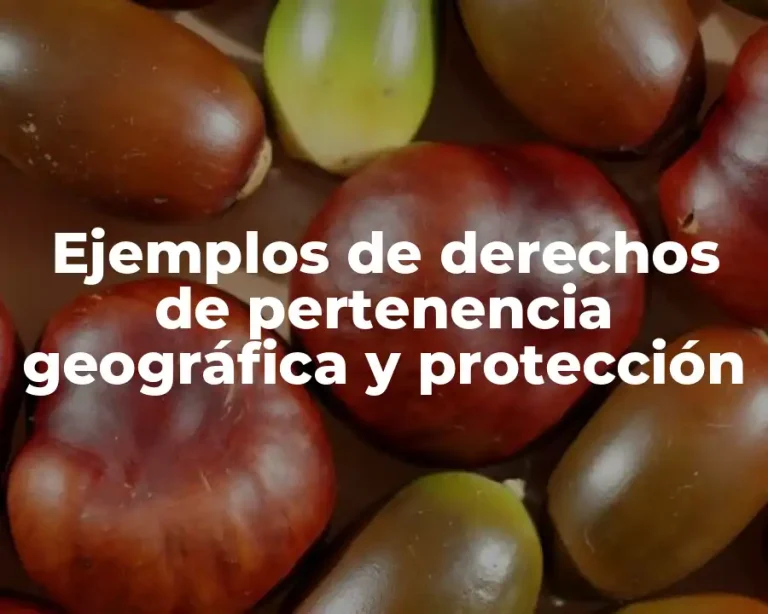 Ejemplos de derechos de pertenencia geográfica y protección
