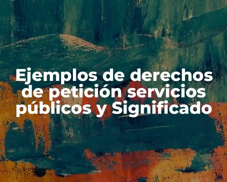 Ejemplos de derechos de petición servicios públicos y Significado
