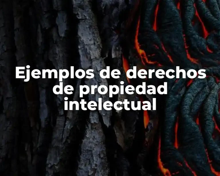 Ejemplos de derechos de propiedad intelectual