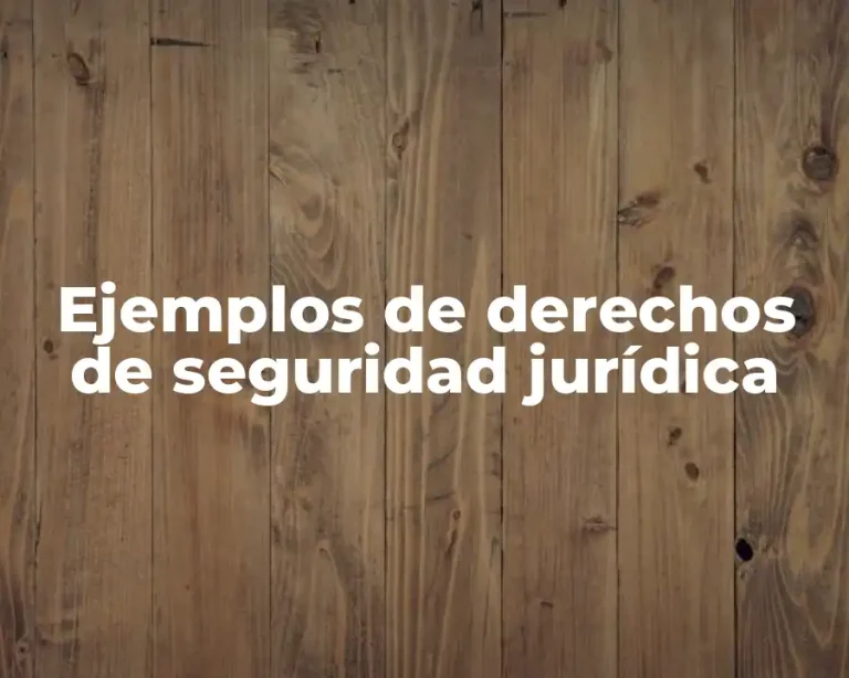 Ejemplos de derechos de seguridad jurídica