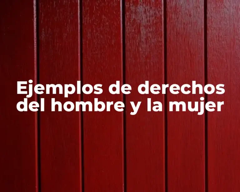 Ejemplos de derechos del hombre y la mujer