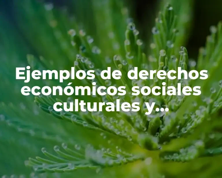 Ejemplos de derechos económicos sociales culturales y ambientales