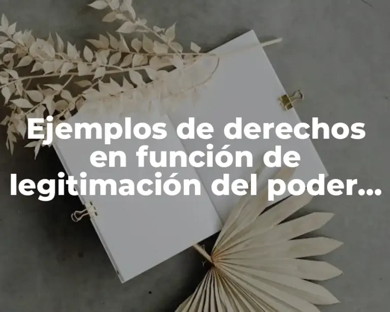 Ejemplos de derechos en función de legitimación del poder político