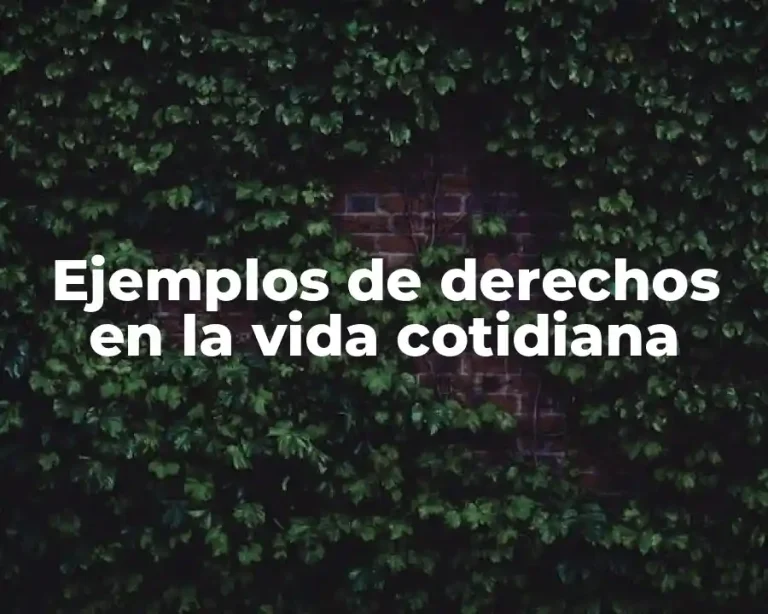 Ejemplos de derechos en la vida cotidiana