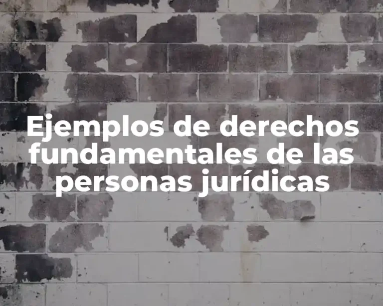 Ejemplos de derechos fundamentales de las personas jurídicas