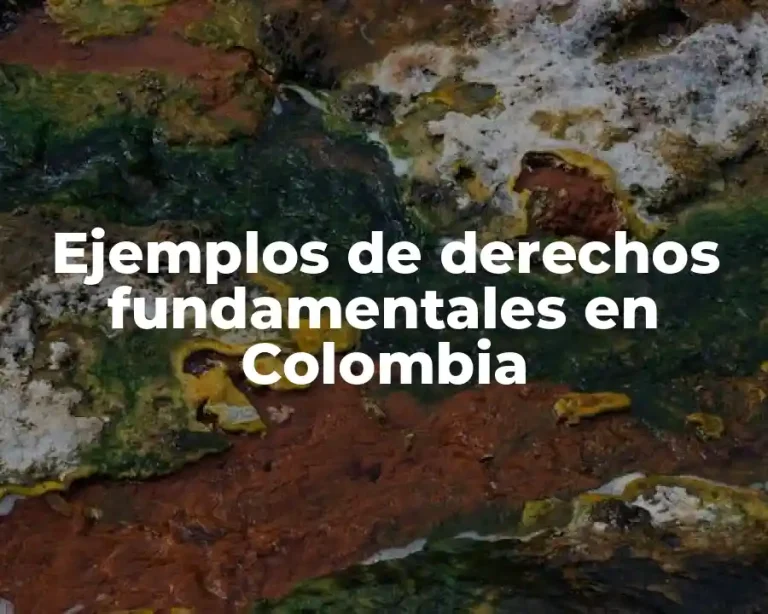 Ejemplos de derechos fundamentales en Colombia