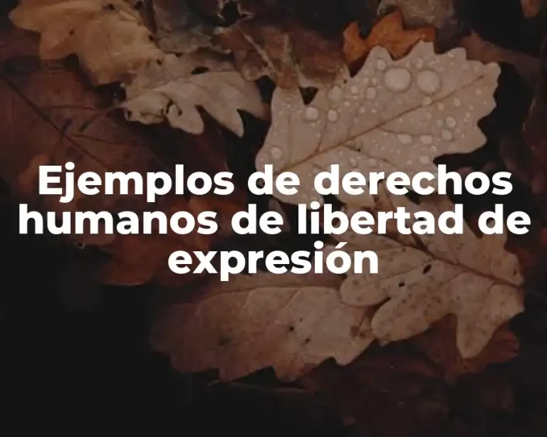 Ejemplos de derechos humanos de libertad de expresión