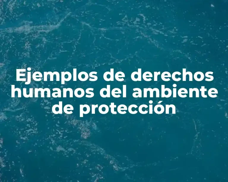Ejemplos de derechos humanos del ambiente de protección