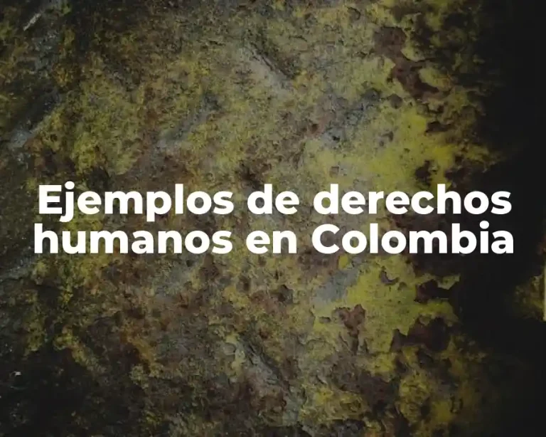Ejemplos de derechos humanos en Colombia