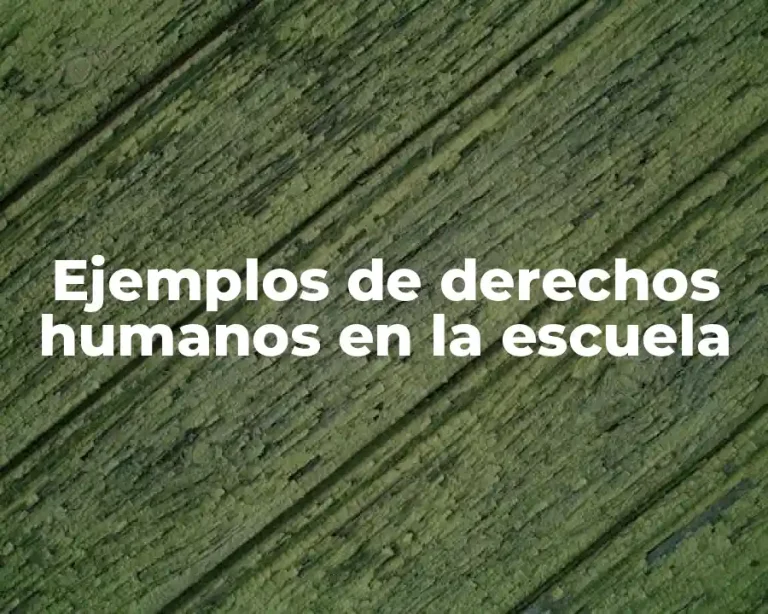 Ejemplos de derechos humanos en la escuela