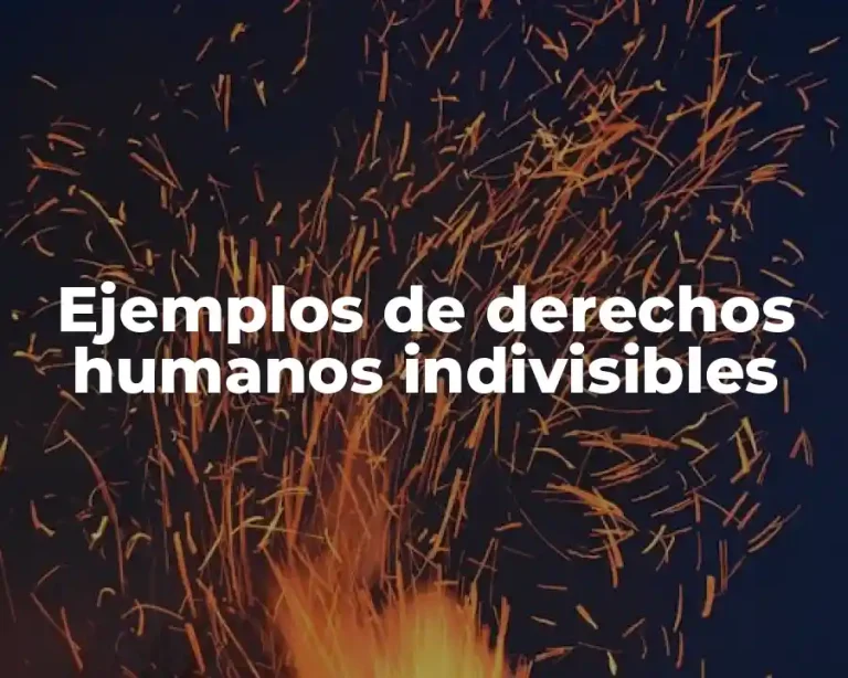 Ejemplos de derechos humanos indivisibles