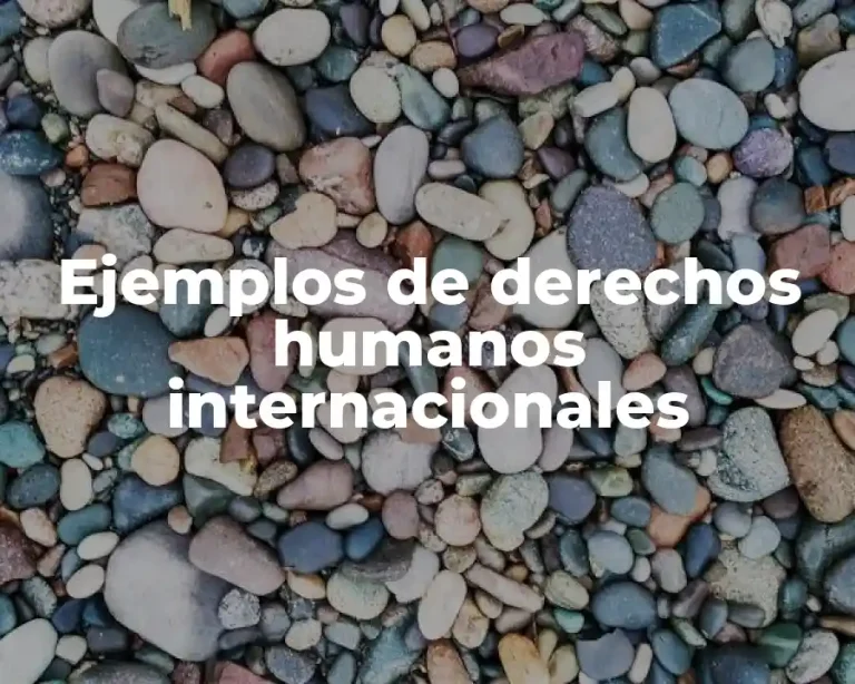 Ejemplos de derechos humanos internacionales