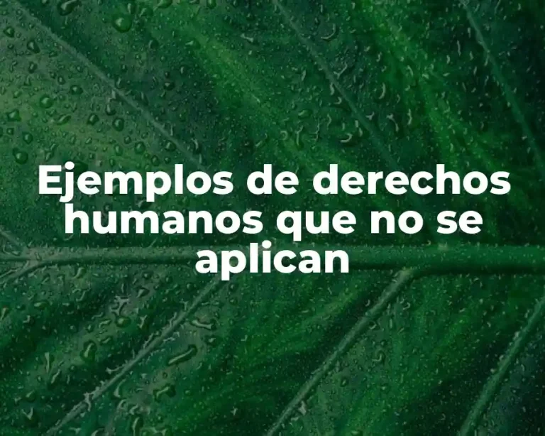 Ejemplos de derechos humanos que no se aplican