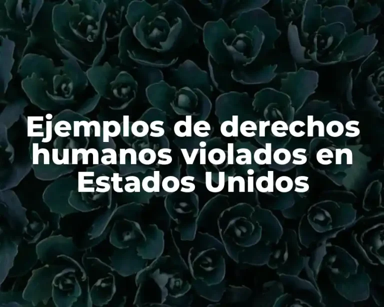 Ejemplos de derechos humanos violados en Estados Unidos