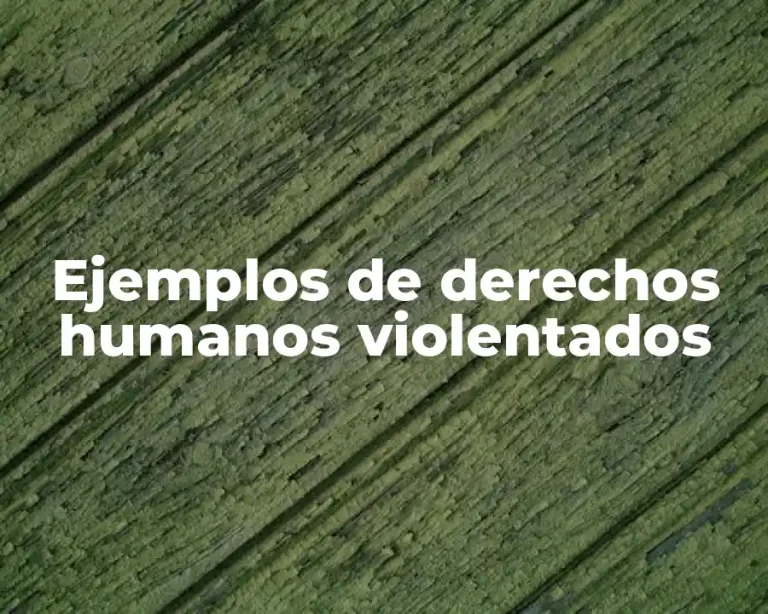 Ejemplos de derechos humanos violentados