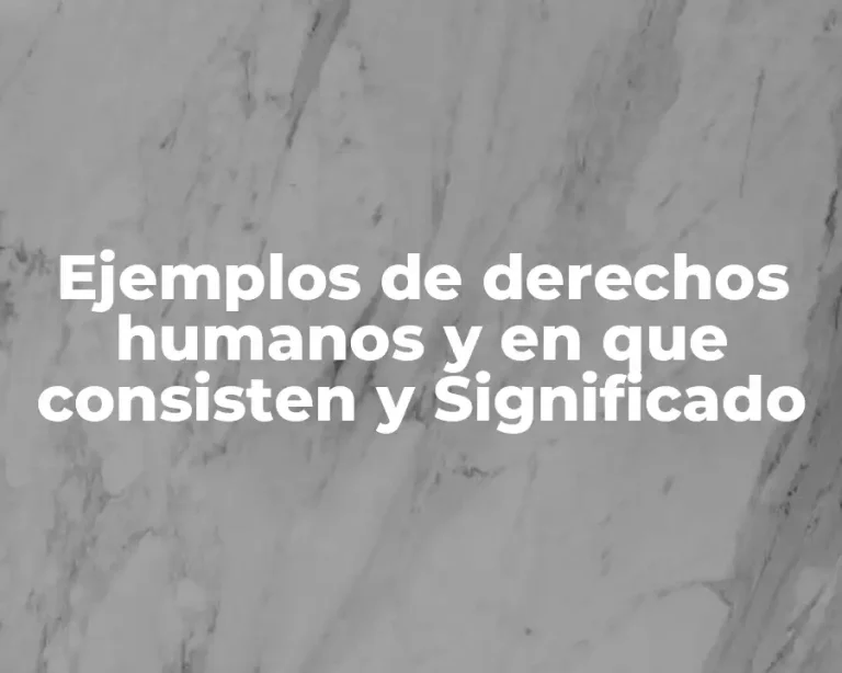 Ejemplos de derechos humanos y en que consisten y Significado