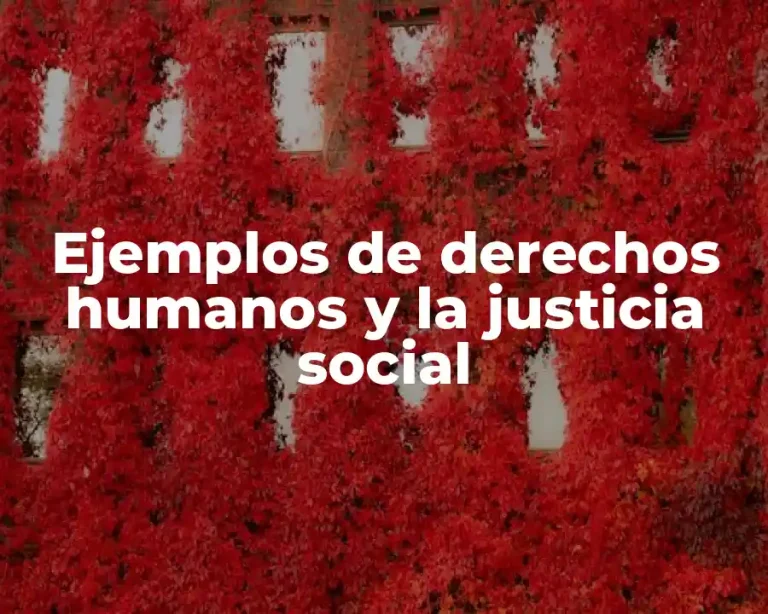 Ejemplos de derechos humanos y la justicia social