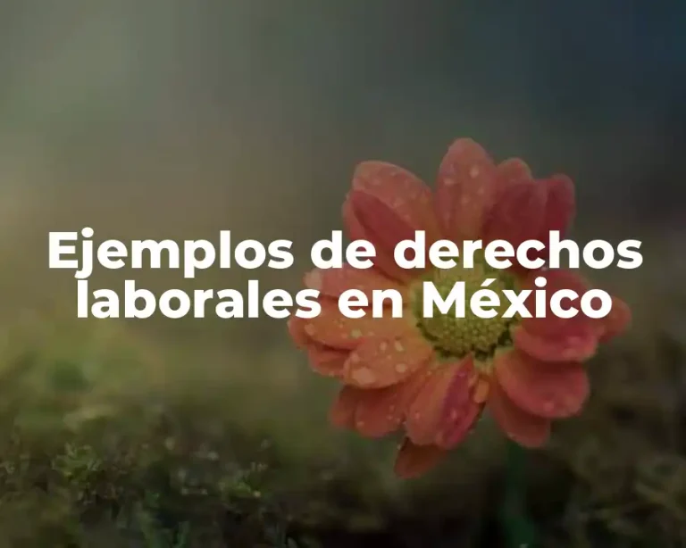 Ejemplos de derechos laborales en México