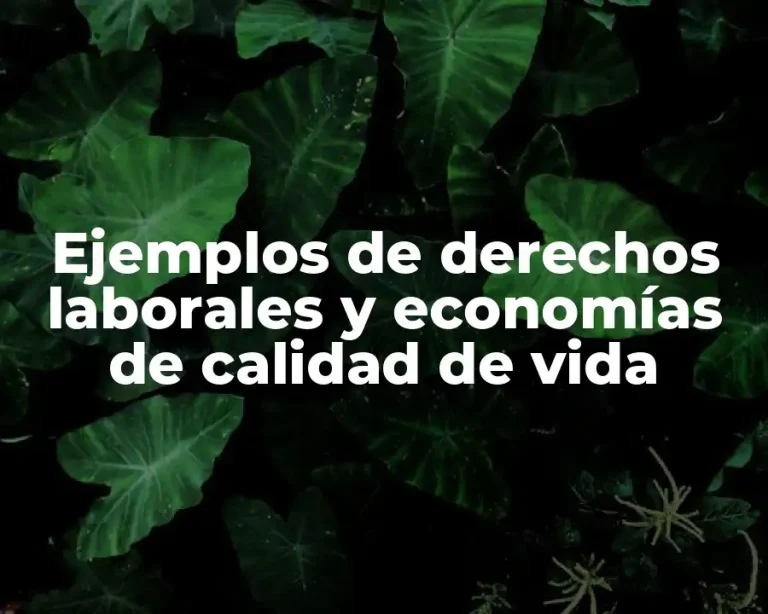 Ejemplos de derechos laborales y economías de calidad de vida