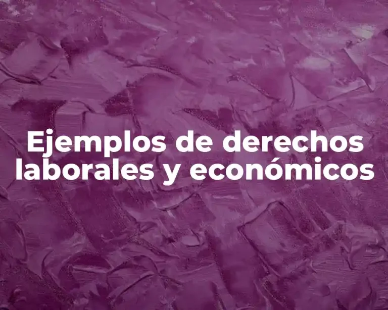 Ejemplos de derechos laborales y económicos