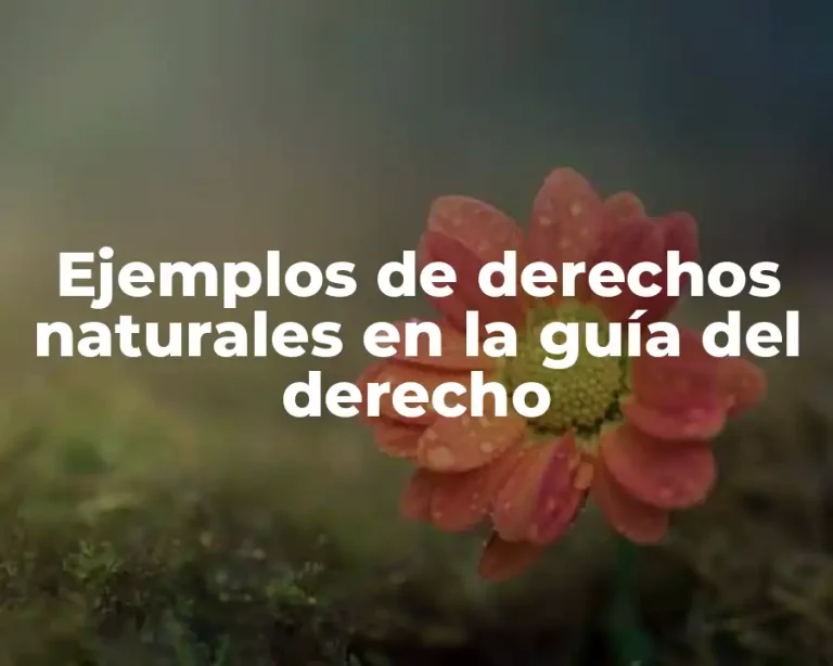 Ejemplos de derechos naturales en la guía del derecho