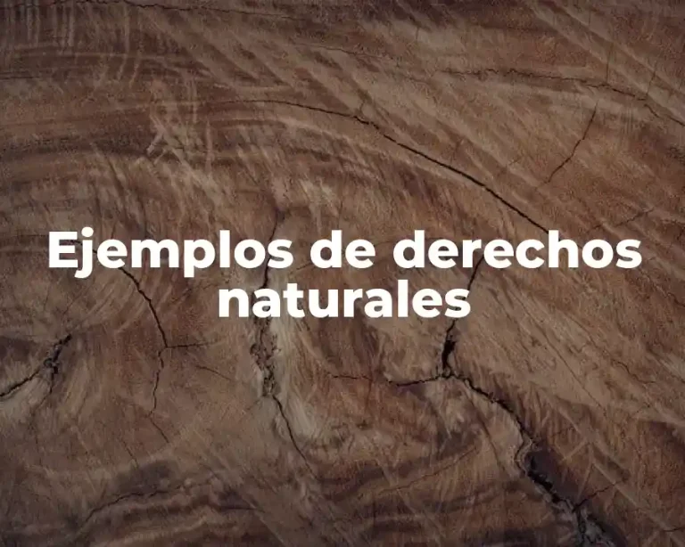 Ejemplos de derechos naturales