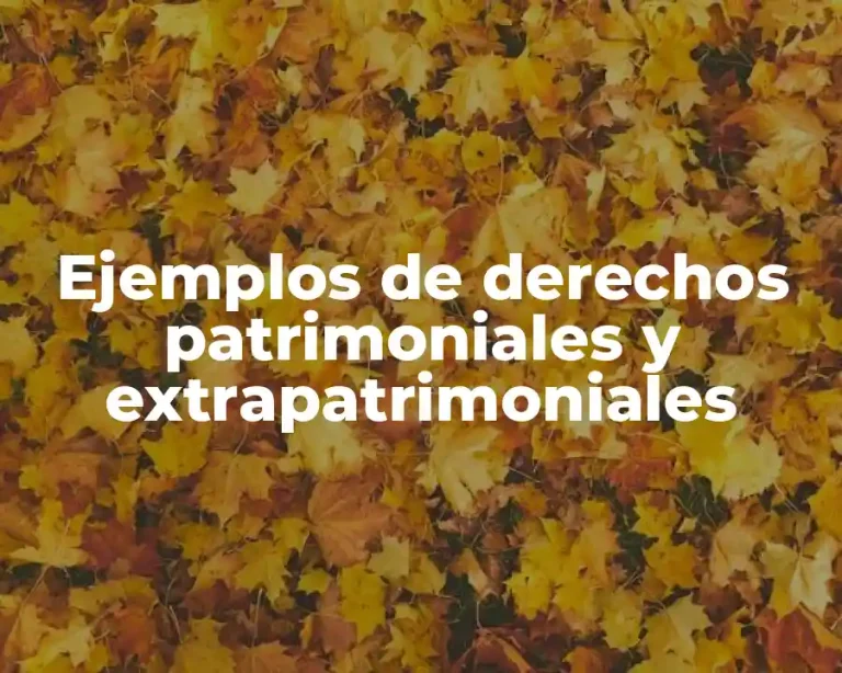 Ejemplos de derechos patrimoniales y extrapatrimoniales