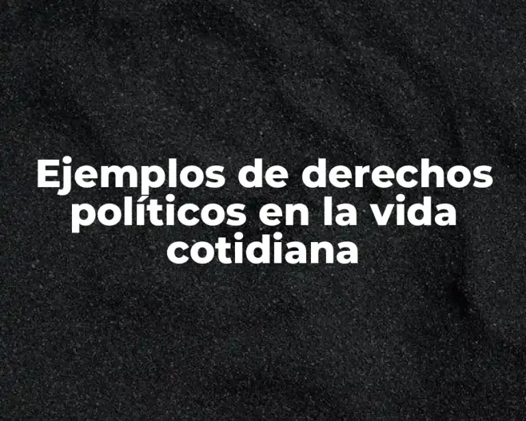 Ejemplos de derechos políticos en la vida cotidiana