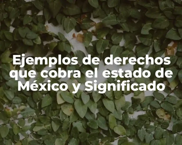 Ejemplos de derechos que cobra el estado de México y Significado