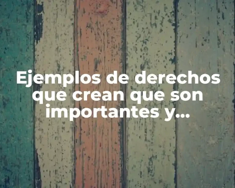 Ejemplos de derechos que crean que son importantes y Significado