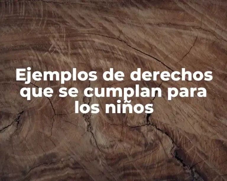 Ejemplos de derechos que se cumplan para los niños
