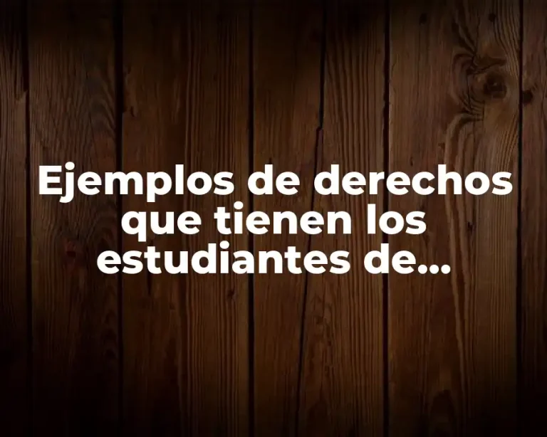 Ejemplos de derechos que tienen los estudiantes de bachillerato