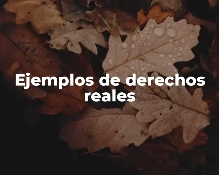 Ejemplos de derechos reales