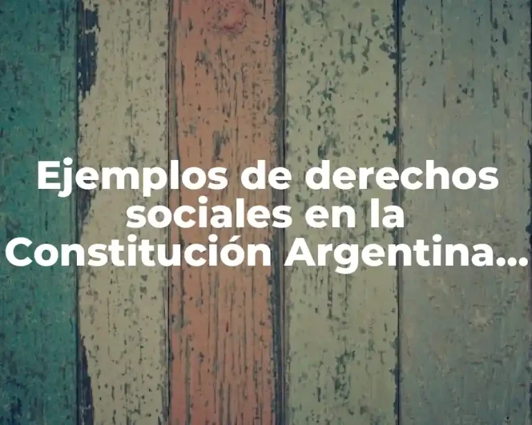 Ejemplos de derechos sociales en la Constitución Argentina y Significado