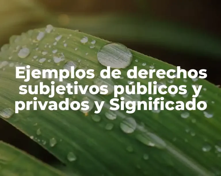 Ejemplos de derechos subjetivos públicos y privados y Significado