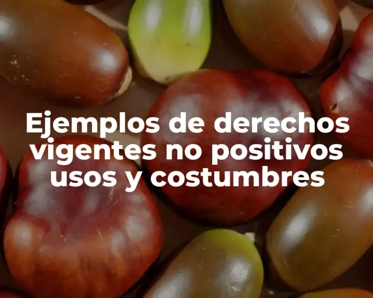 Ejemplos de derechos vigentes no positivos usos y costumbres