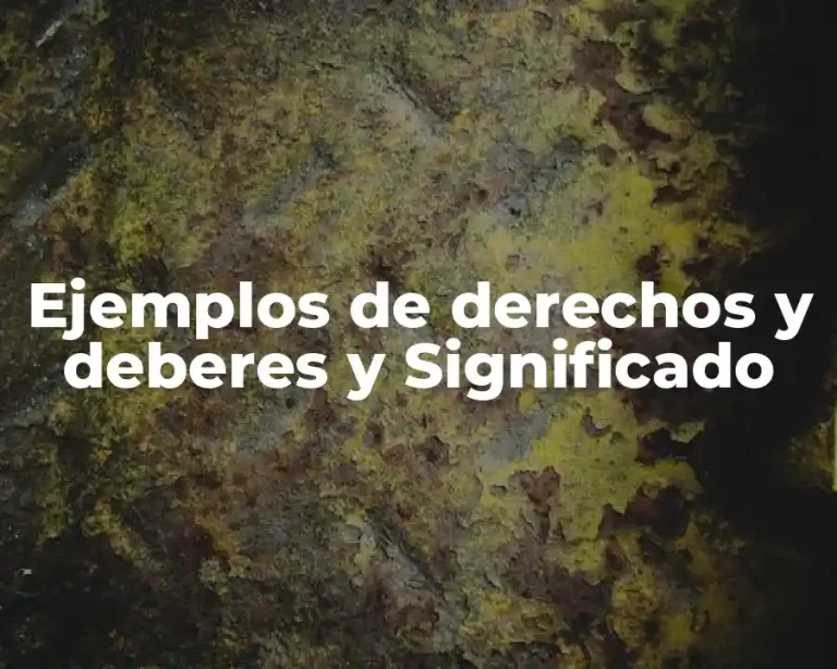 Ejemplos de derechos y deberes y Significado