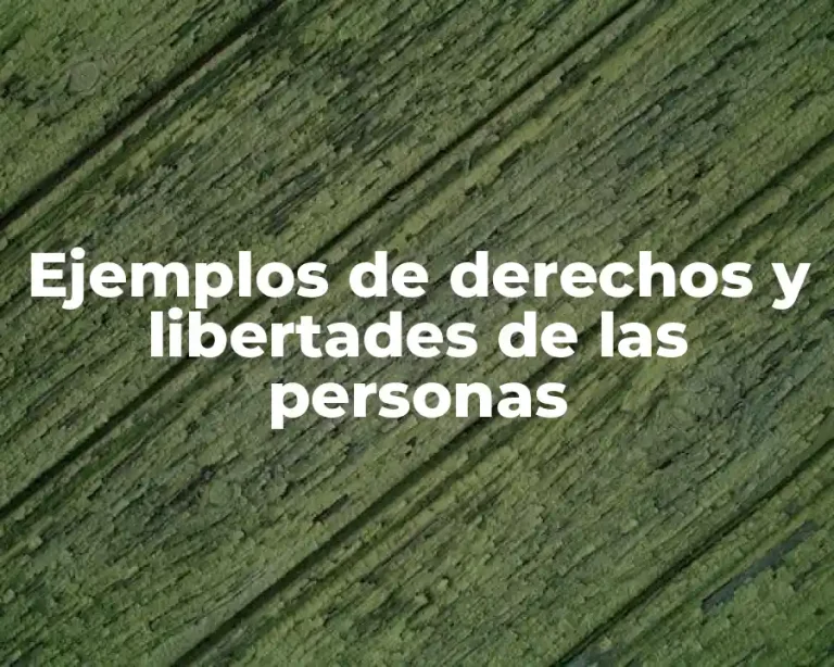 Ejemplos de derechos y libertades de las personas
