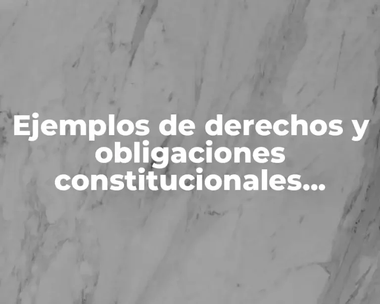 Ejemplos de derechos y obligaciones constitucionales mexicanos para niños y Significado