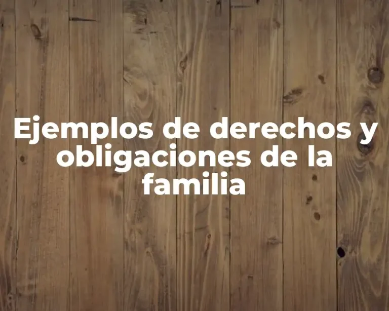 Ejemplos de derechos y obligaciones de la familia