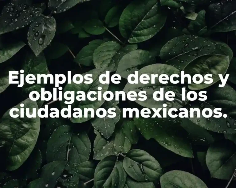 Ejemplos de derechos y obligaciones de los ciudadanos mexicanos.