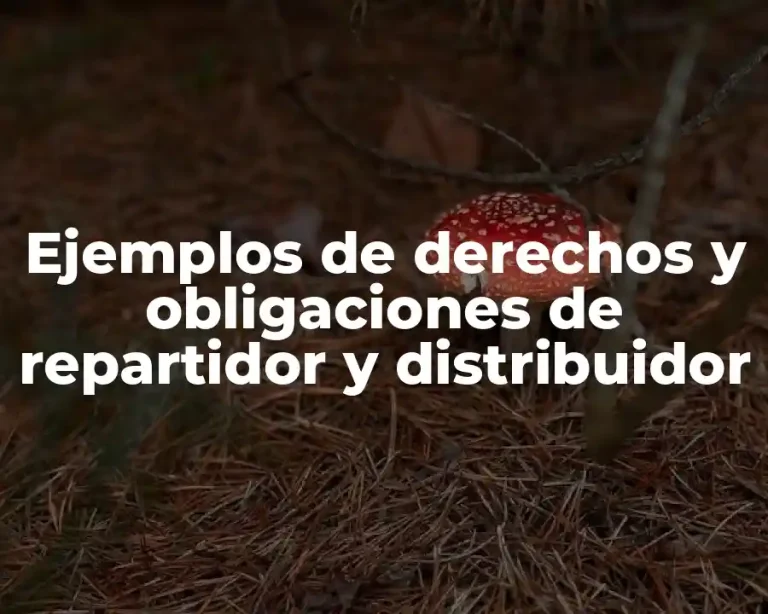 Ejemplos de derechos y obligaciones de repartidor y distribuidor