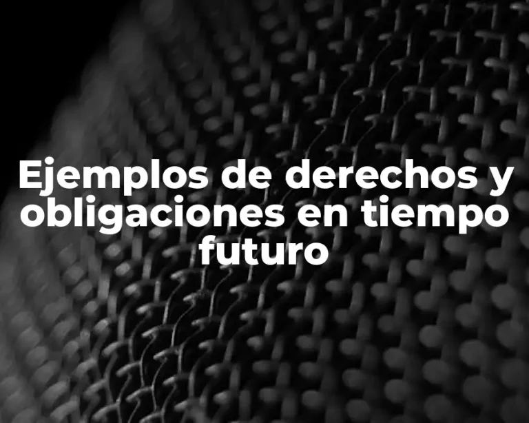 Ejemplos de derechos y obligaciones en tiempo futuro