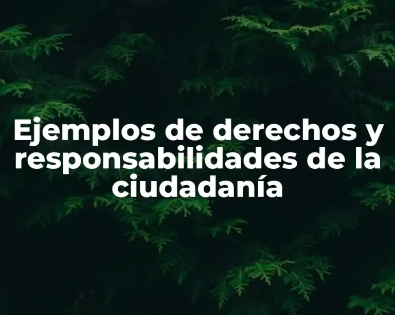 Ejemplos de derechos y responsabilidades de la ciudadanía