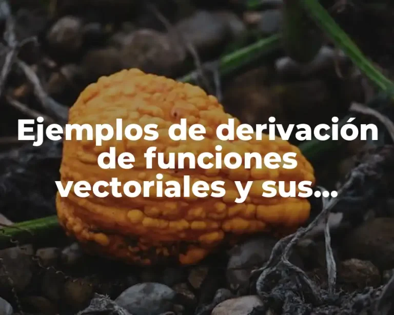 Ejemplos de derivación de funciones vectoriales y sus propiedades y Significado