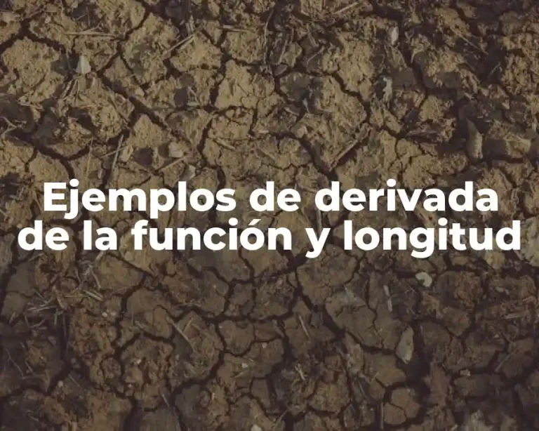 Ejemplos de derivada de la función y longitud